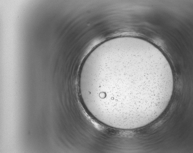 X0000080151282200612302118