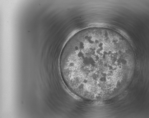 X0000080151283200612302118