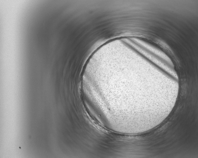 X0000080151284200612302118