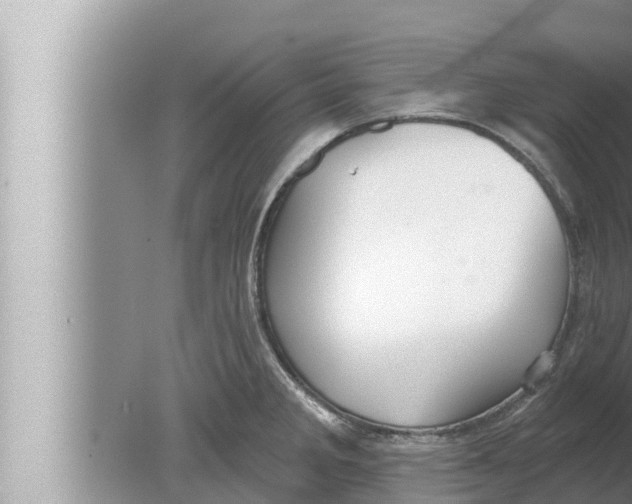 X0000080151285200612302118