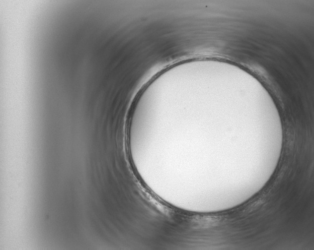 X0000080151286200612302118