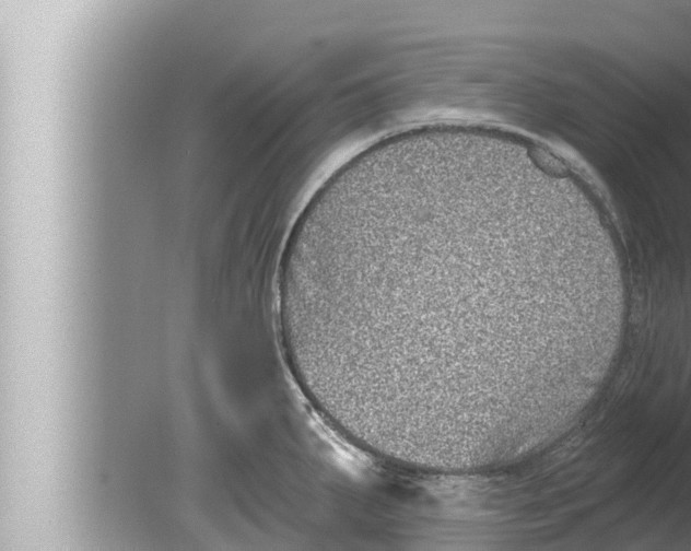 X0000080151287200612302118