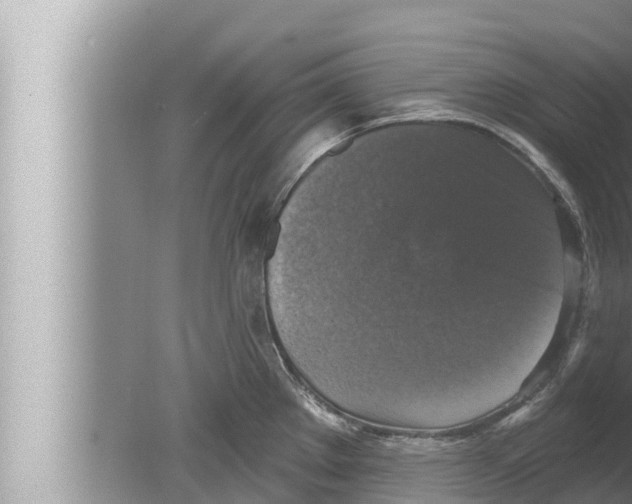 X0000080151289200612302118