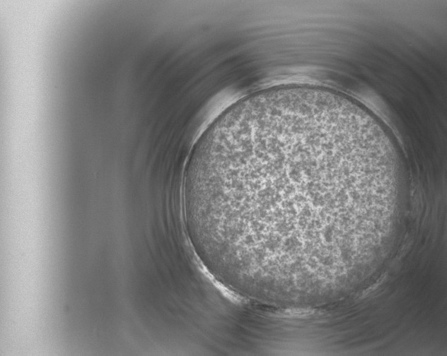 X0000080151290200612302118