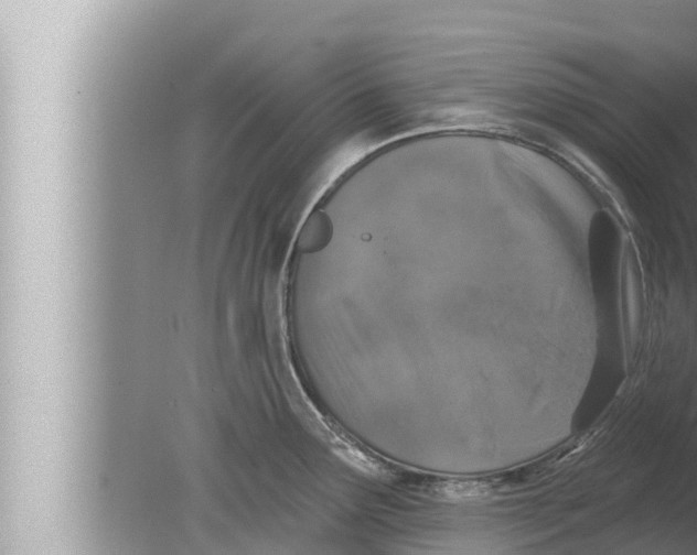 X0000080151291200612302118