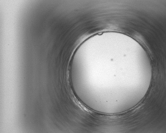 X0000080151292200612302118