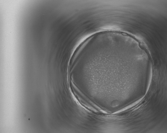 X0000080151295200612302118