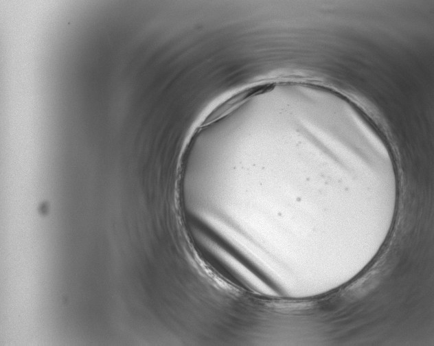 X0000080151296200612302118