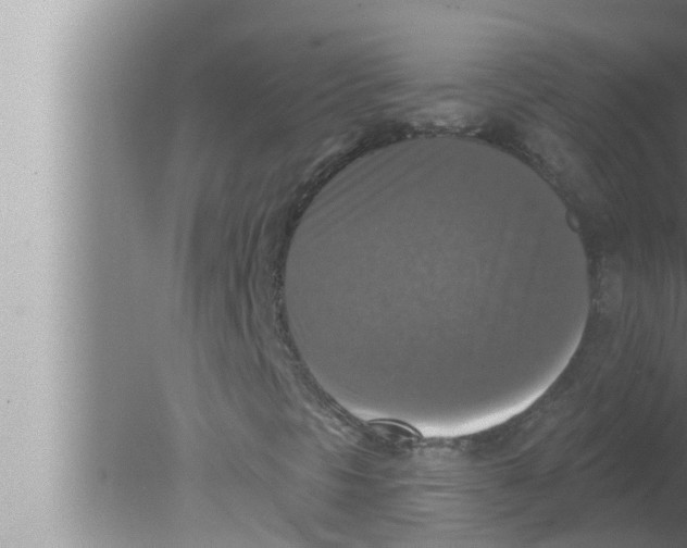 X0000080151297200612302117