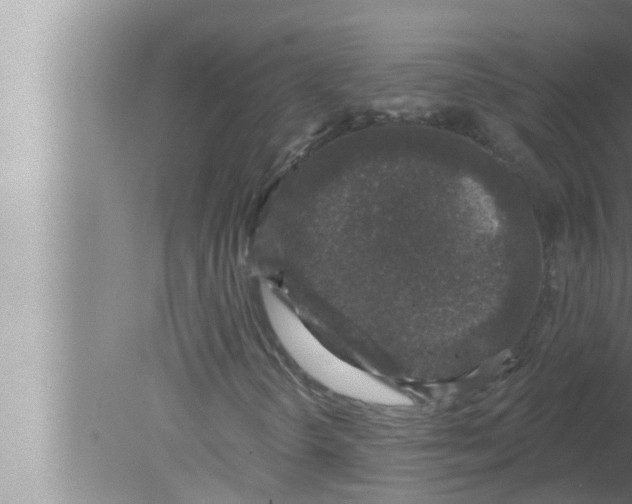 X0000080151298200612302117