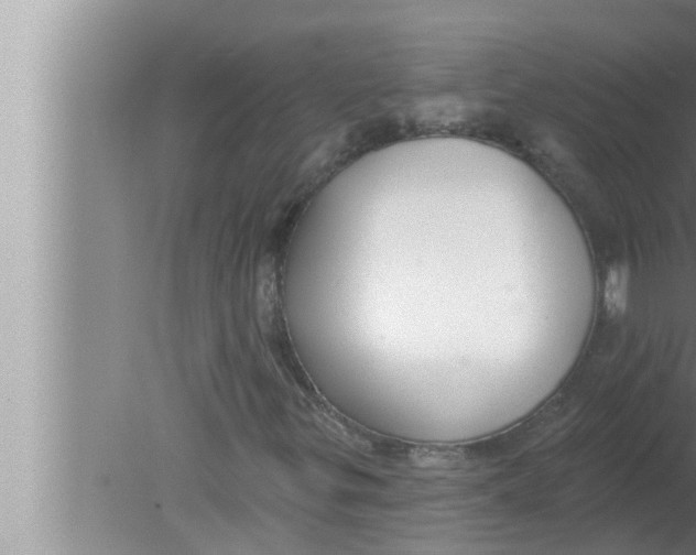 X0000080151299200612302117