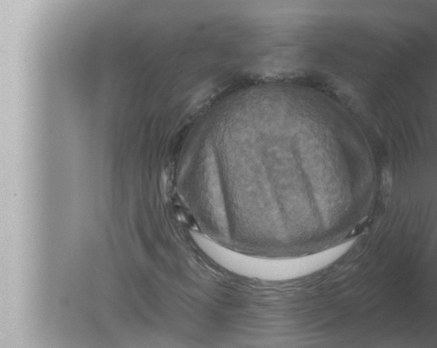 X0000080151300200612302117