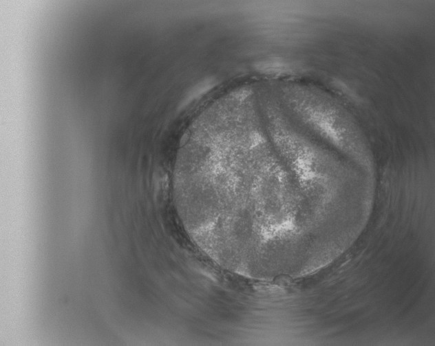 X0000080151302200612302117