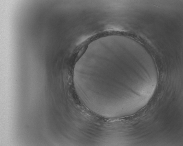 X0000080151303200612302117