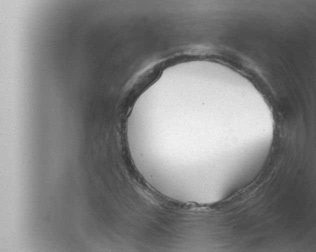 X0000080151304200612302117