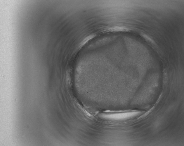 X0000080151305200612302117