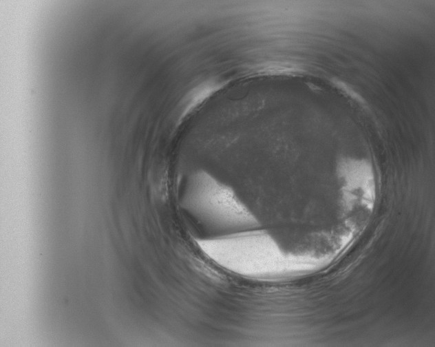 X0000080151306200612302117