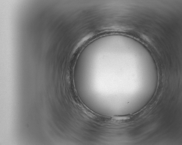 X0000080151307200612302117