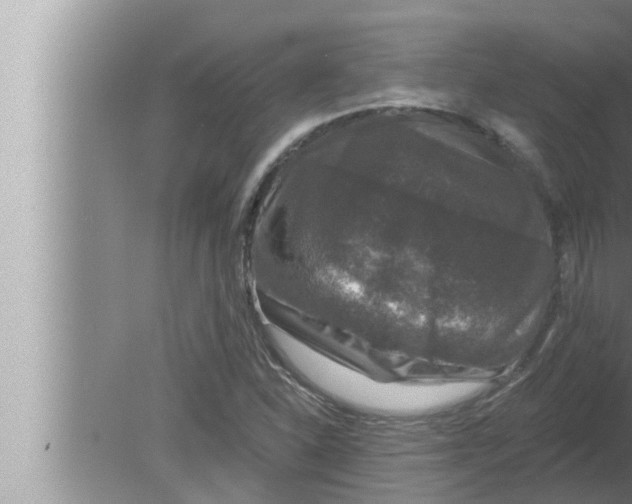 X0000080151310200612302117