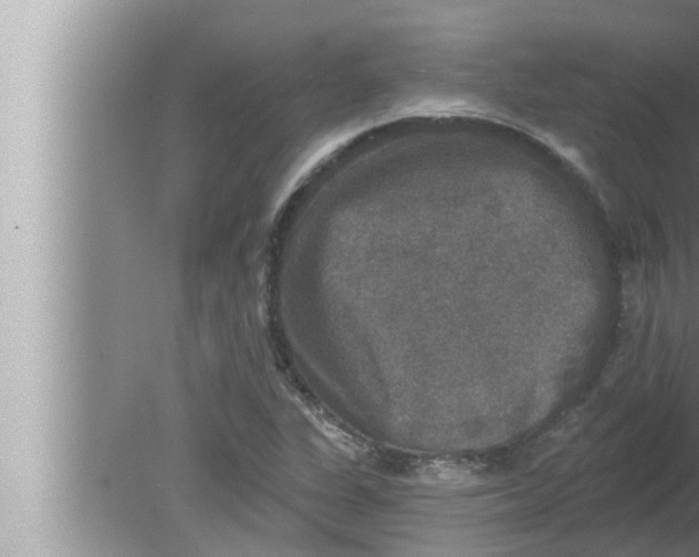 X0000080151311200612302117