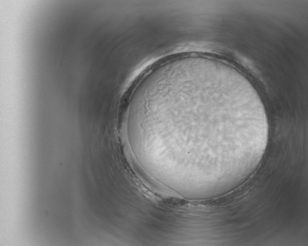 X0000080151312200612302117