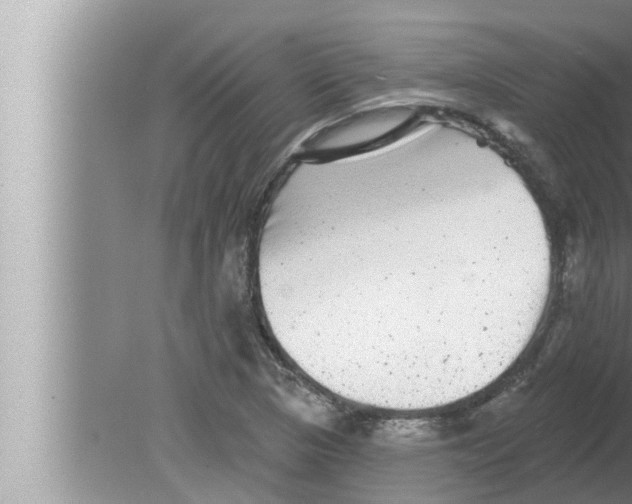 X0000080151313200612302117