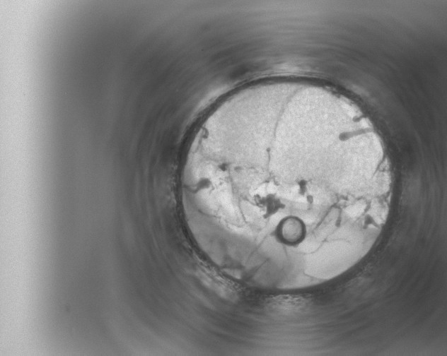 X0000080151314200612302117