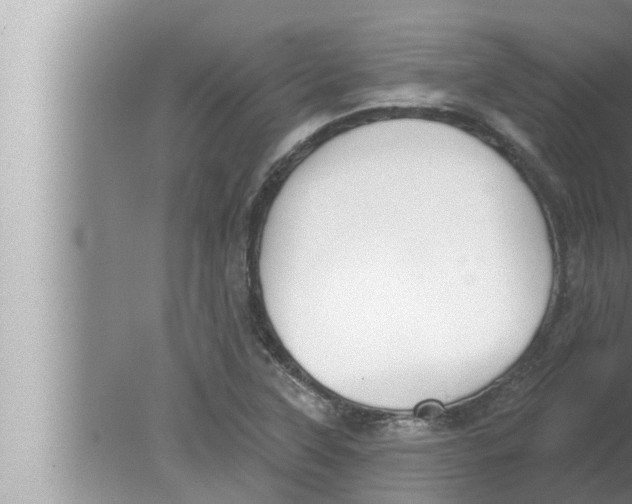 X0000080151315200612302117