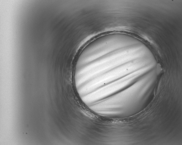 X0000080151316200612302117