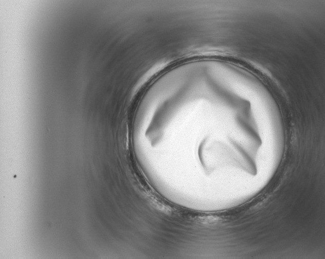 X0000080151317200612302117