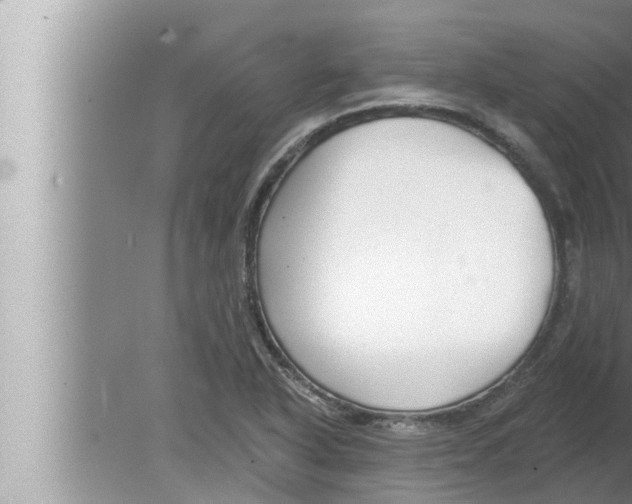 X0000080151318200612302117