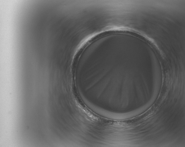 X0000080151319200612302117