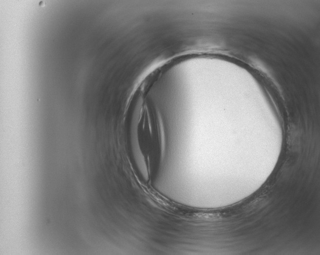 X0000080151320200612302117