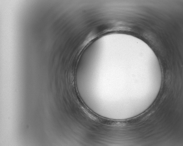 X0000080151321200612302117