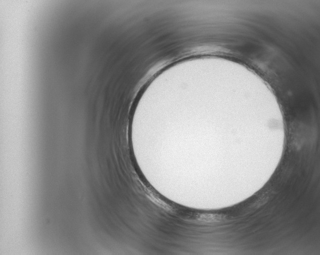 X0000080151322200612302117