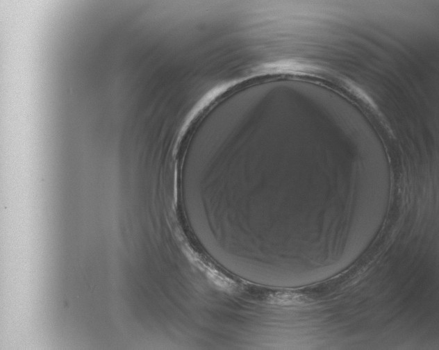 X0000080151323200612302117