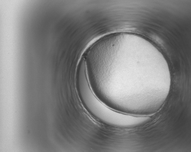 X0000080151324200612302117