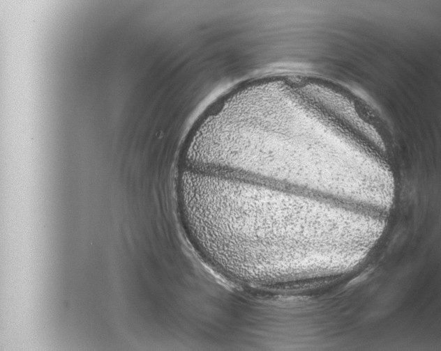 X0000080151325200612302117