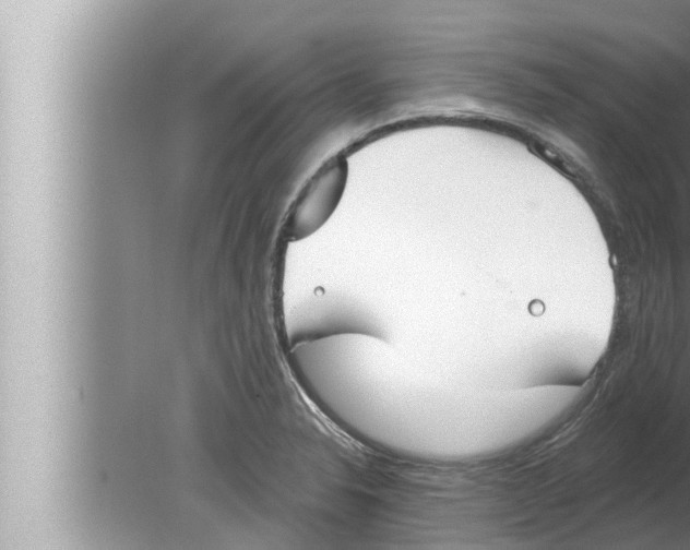 X0000080151326200612302117