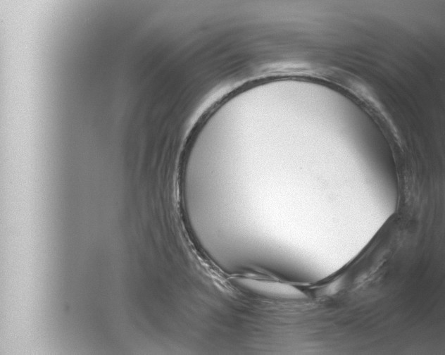 X0000080151328200612302117