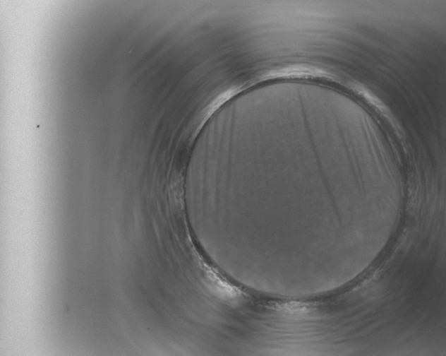 X0000080151329200612302118