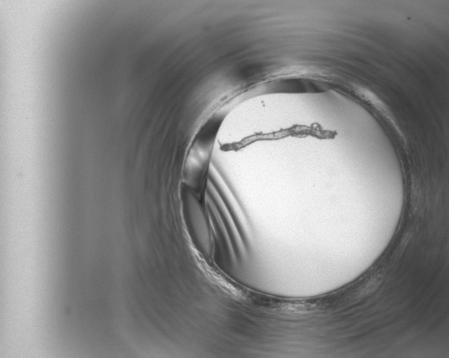 X0000080151330200612302118