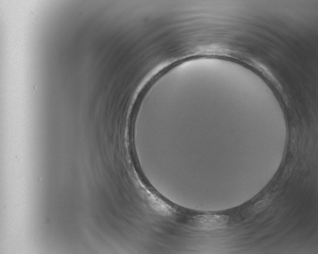 X0000080151331200612302118