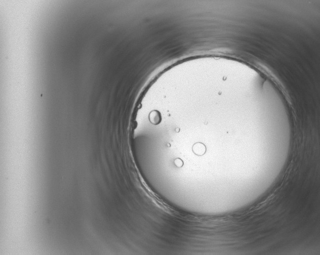 X0000080151332200612302118