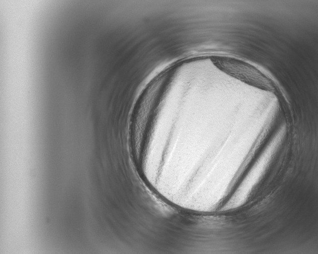 X0000080151333200612302118