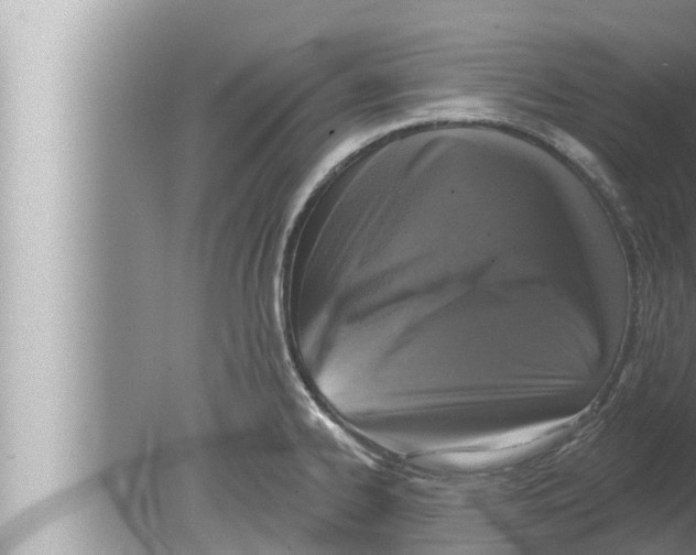 X0000080151334200612302118