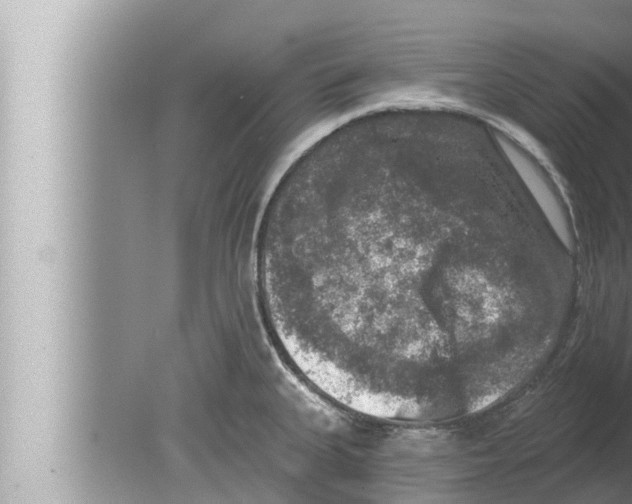 X0000080151335200612302118