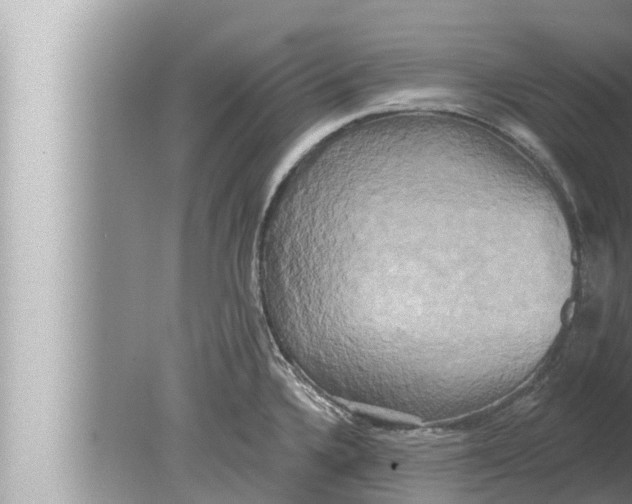 X0000080151336200612302118