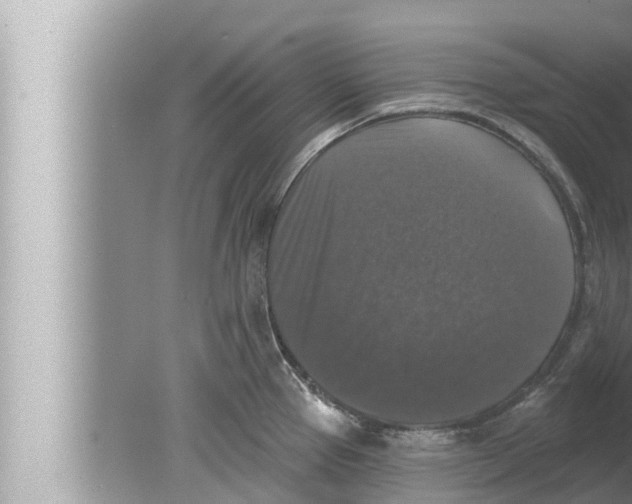 X0000080151337200612302118