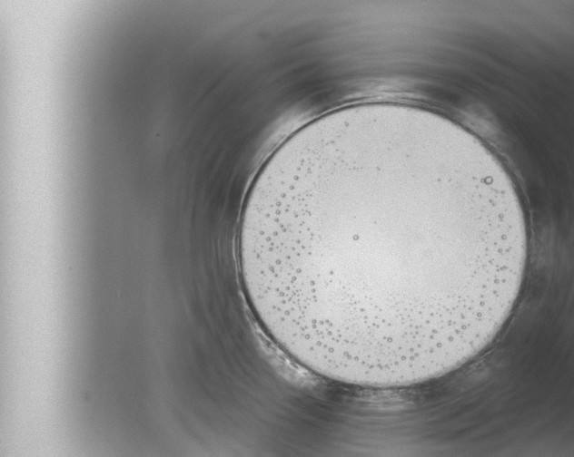 X0000080151338200612302118